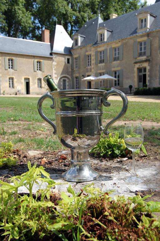 Chateau De Planchevienne Magny-Cours Zewnętrze zdjęcie